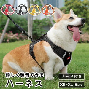  n[lX pn[lX [ht ybgp  ^ ^ ^  nht ȒP bV ʋC Ȃ i