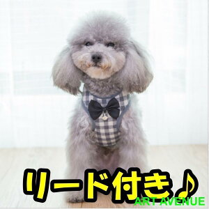 n[lX    { lN^C ȒP Ȃ ybg   xXg 킢 ^ ^ [h EȂ U