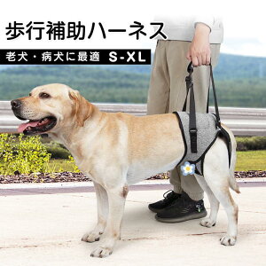 s⏕n[lX n[lX ybgp Vp 㑫p V ^ ^ ^ aC sT|[g ⏕ p s⏕n[