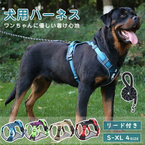  n[lX pn[lX [ht ybgp  ^ ^ ^  nht ȒP Ȃ _炩 i