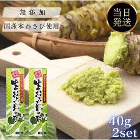 東京フード 生おろしわさび 40g 国産 無添加 本わさび 厳選素材