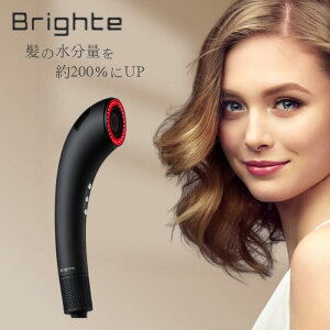 Brighte �u���C�g �V�����[�h���C���[ SHOWER DRYER BRT-SD173