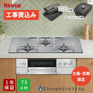 �y�H����݁���㋞�s����zRHS72W38M13RCSTW �r���g�C���R�����@�H����� �f���V�A DELICIA �����i�C�@Rinnai�@�v���`�i�~���[ 3V���d�r�^�C�v�@�K�X�R�����@�V��75cm �v���p�� 12 A13A �I�[�g