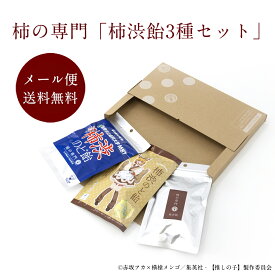 【公式】柿渋飴3種セット【送料無料】クリックポスト便【推しの子 コラボ のど飴 柿渋のど飴 ゆず 濃い柿渋のど飴 人気 テレビ アニメ ご当地 奈良 柿渋 柿タンニン 健康 あめ アメ スイーツ キャンディ】