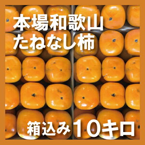 󂠂 ˂Ȃ` 2kg 4kg 10kg   Ă (M`LTCY) a̎RY x Yn ` JL Mtg 9{ȍ~ j` 햳 Ȃ JLG _ ƒp 
