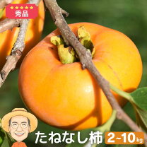 楽天市場】柿 2キロの通販