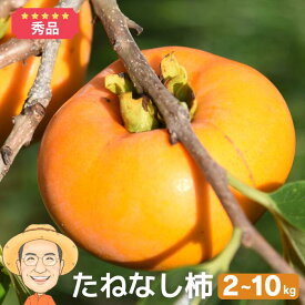 【2026年9月～発送◎予約割あり】秀品 たねなし柿 2kg 4kg 10kg (M～L) 和歌山産 高糖度 産地直送 柿 早生 極早生 カキ ギフト 9月上旬以降発送 平核無柿 種無し 種なし フルーツ 果物 カキエモン 農園 送料無料