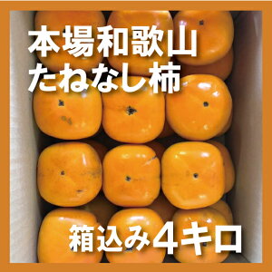 󂠂 ˂Ȃ` 2kg 4kg 10kg   Ă MTCY a̎RY x Yn ` JL Mtg 9{ȍ~ j` 햳 Ȃ JLG _ ƒp 