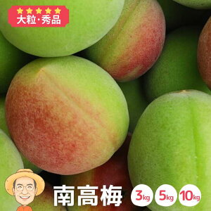 y2026N\񊄂z嗱 썂~ ~ 3kg 5kg 10kg (+ۏ100g) Gi 2Lȏ a̎RY ~ ~ ~Vbv ʎ  ~ E JLG _  Ȃ񂱂 Ȃ񂱂΂ Ȃ
