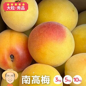 y2026N\񊄂z嗱 n 썂~ 3kg 5kg 10kg (+ۏ100g) Gi 2Lȏ a̎RY ~ ~ ~Vbv ʎ  ~ E JLG _  Ȃ񂱂 Ȃ񂱂΂ Ȃ