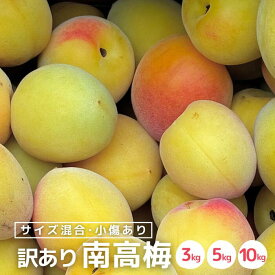 【2026年分◎予約割あり】訳あり 完熟 南高梅 1kg (+保障100g) サイズ 不揃い (M～L) 小傷あり 和歌山産 梅干し 梅酒 梅シロップ 果実 うめ 梅 ウメ カキエモン 農園 なんこううめ なんこうばい なんこう 加工用 家庭用 南光梅 紀州 送料無料
