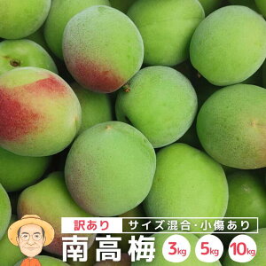 y2026N\񊄂z󂠂 썂~ ~ 3kg 5kg 10kg (+ۏ100g) TCY s (M`L)  a̎RY ~ ~ ~Vbv ʎ  ~ E JLG _ Ȃ񂱂 Ȃ񂱂