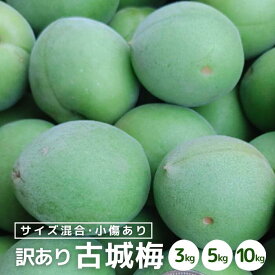 訳あり 古城梅 青梅 3kg 5kg 10kg (+保障100g) サイズ 不揃い (S～L) 小傷あり 和歌山産 梅酒 梅ジュース 向き 梅シロップ 果実 うめ 梅 ウメ カキエモン 農園 こじろ梅 ごじろ梅 加工用 ご家庭用 紀州 送料無料