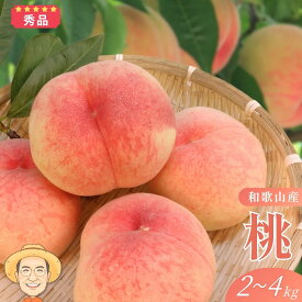 【2026年発送分】秀品 桃 お中元 和歌山 白鳳 2kg 箱(8~9個) 4kg 箱(13~15個) クール便 送料無料 熨斗 ギフト 贈答 もも momo モモ 果実 完熟 カキエモン 農園 紀州 熱中症 夏バテ 果物