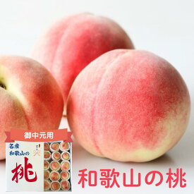 【2026年発送分】秀品 桃 2kg 箱(8~9個) 4kg 箱(13~15個) 熨斗 シール お中元 和歌山 白鳳 クール便 送料無料 熨斗 ギフト 贈答 もも momo モモ 果実 完熟 カキエモン 農園 紀州 熱中症 夏バテ 果物