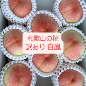 【2026年発送分】和歌山 桃 訳あり 白鳳 2kg 箱(8~9個) 4kg 箱(13~15個) クール便 形がいびつ 色むら サイズ不揃い 等 送料無料 家庭用 もも momo モモ 果実 カキエモン 農園 完熟 紀州 熱中症 夏バテ 果物