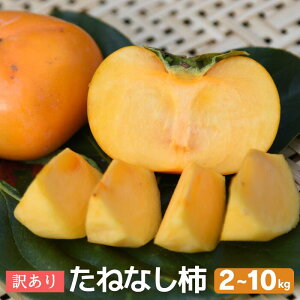 󂠂 ˂Ȃ` 2kg 4kg 10kg   Ă (M`LTCY) a̎RY x Yn ` JL Mtg 9{ȍ~ j` 햳 Ȃ JLG _ ƒp 