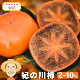 【2026年10月中旬～発送】紀の川柿 2kg 4kg 10kg 秀品 (2L～M) 和歌山産 高糖度 産地直送 柿 カキ ギフト 10月中旬以降発送 平核無柿 種無し 種なし 紀ノ川柿 カキエモン 農園 送料無料