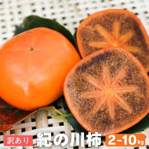 󂠂 I̐` 2kg 4kg 10kg   Ă ( 2L~MTCY ) a̎RY x Yn ` JL Mtg 10{ȍ~ j` 햳 Ȃ Im` JLG _ ƒp 