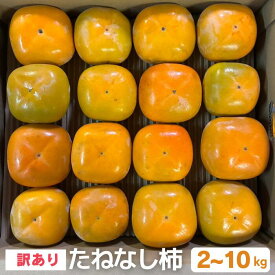 【2026年9月～発送◎予約割あり】訳あり たねなし柿 2kg 4kg 10kg 小傷 凹み 日焼け Mサイズ 和歌山産 高糖度 産地直送 柿 カキ ギフト 9月以降発送 平核無柿 種無し 種なし カキエモン 農園 家庭用 送料無料