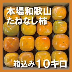 󂠂 ˂Ȃ` 2kg 4kg 10kg   Ă MTCY a̎RY x Yn ` JL Mtg 9{ȍ~ j` 햳 Ȃ JLG _ ƒp 