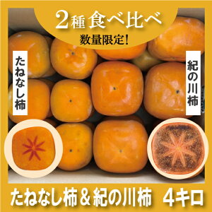 y2Hהׁz 󂠂 ˂Ȃ` I̐` 4kg 10kg a̎R ` JL   Ă x Yn JLG _ ƒp 