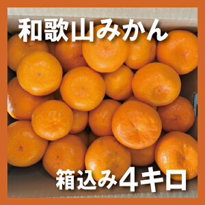 ݂ 4kg {a̎R YN26 B݂ Yn ~J  Mtg JLG _ 