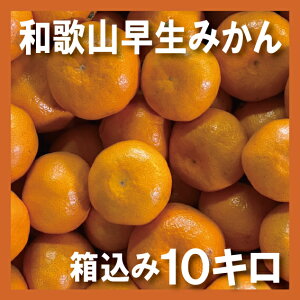 y X[p[Z[ Iz ݂ 4kg 10kg {a̎R YN26 B݂ Yn ~J  Mtg JLG _ 