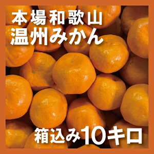 y X[p[Z[ Iz ݂ 4kg 10kg {a̎R YN26 B݂ Yn ~J  Mtg JLG _ 