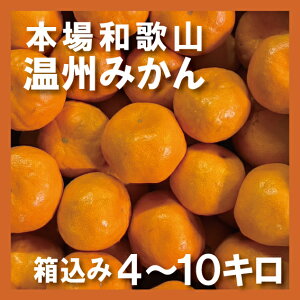 ���B�݂��� ������4kg 10kg �{��a�̎R ���B �݂��� �Y�n���� �~�J�� ���� �M�t�g �J�L�G���� �_�� ��������