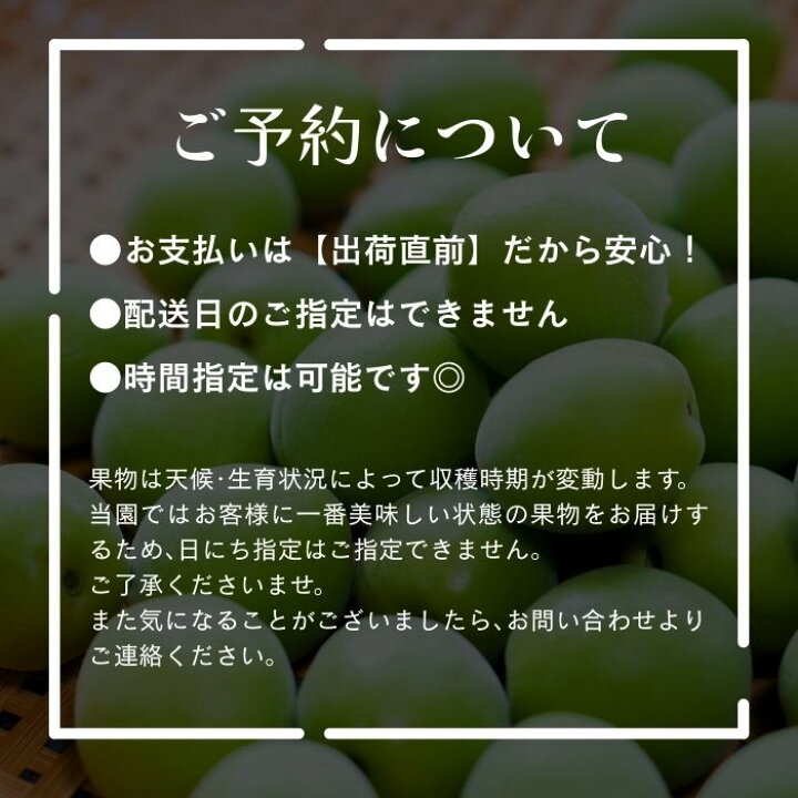 楽天市場】訳あり 古城梅 青梅 3kg 5kg 10kg (+保障100g) サイズ 