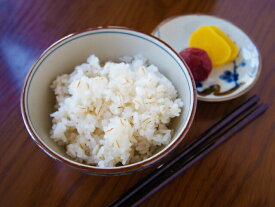 コシヒカリ 2kg の麦ごはん 送料無料広島県産コシヒカリ 2kg 棚田の自然農法米 広島コシヒカリ 2kg 令和5年
