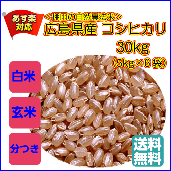 楽天市場】コシヒカリ 30kg 玄米 5kg×6無地袋 送料無料広島県産