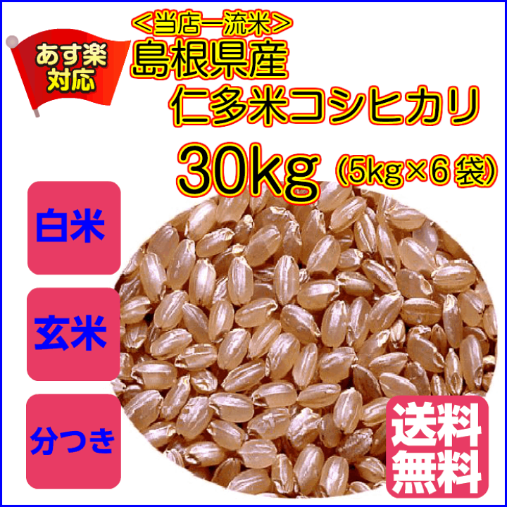 島根県産　コシヒカリ３０.5kg 古米(玄米) 島根県産コシヒカリ30.5kg 古米(玄米)