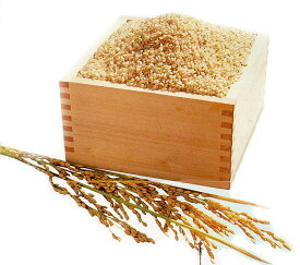 送料無料当社四ツ星米自然農法米コシヒカリ 5kg4つ星米 ゴールド袋 当社高級品 こしひかり