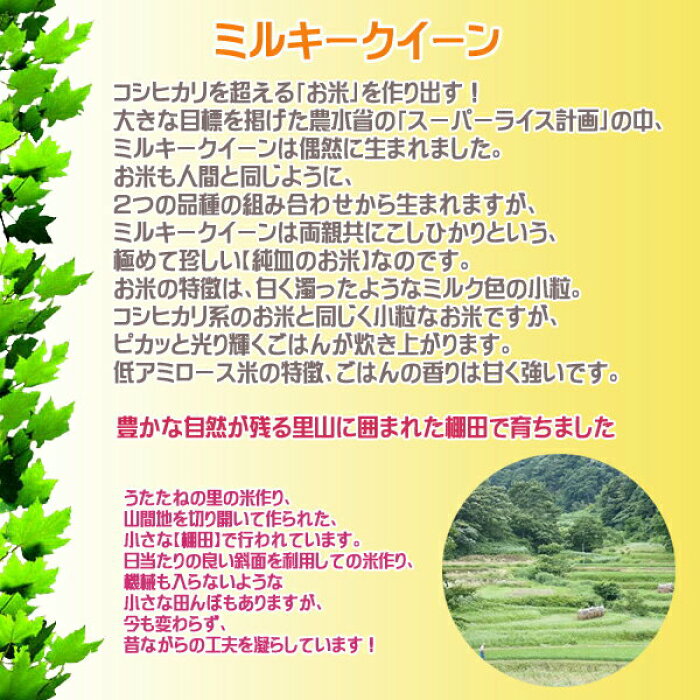 楽天市場 送料無料 広島県産ミルキークイーン 10kg 特別栽培米 5kg 2