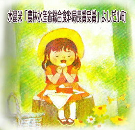 新米 令和7年産 1等米広島県産コシヒカリ 5kg/10kg/15kg/20kg プレミアム 金の袋 送料無料自然農法で作った米 コシヒカリ