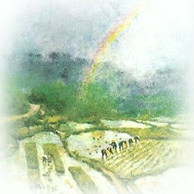 新米 令和7年産 1等米広島県産にじのきらめき 5kg 10kg 15kg 20kg 30kg 玄米 ゴールド袋 送料無料自然農法米で作った米 にじのきらめき 5kg 10kg 15kg 20kg 30kg