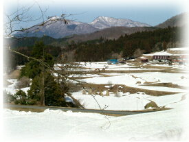 新米 令和7年産 1等米広島県産コシヒカリ 5kg/10kg/15kg/20kg 八幡高原 源流米 送料無料棚田の自然農法米 コシヒカリ