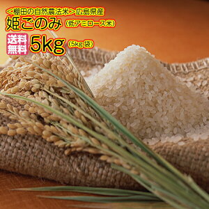 V ߘa7NY 1čLYP̂ 10kg ̑ Ic̎R_@ P̂ 10kg