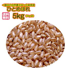 ひとめぼれ 10kg 玄米 5kg×2無地袋 送料無料 広島県産ひとめぼれ 10kg 棚田の自然農法米 広島ひとめぼれ 10kg 令和5年産