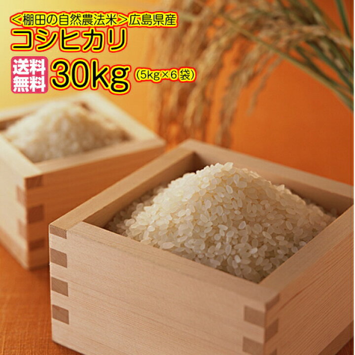 楽天市場】【300円割引クーポン配付中】コシヒカリ 30kg 玄米 5kg×6  