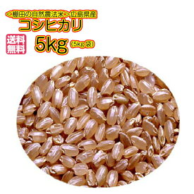 自然農法で作った米 5kg 青袋 棚田米 送料無料広島県産コシヒカリ5kg 広島コシヒカリ5kg 令和5年産 1等米