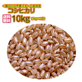 コシヒカリ 10kg 5kg×2 当社最高級 五つ星 ゴールド袋 送料無料広島県産コシヒカリ 10kg 棚田の自然農法米 広島コシヒカリ 10kg 令和5年産 1等米