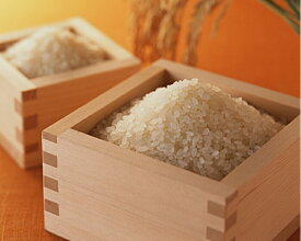 つや姫 2kg 特別栽培米 きぬむすめ 3kg ＋ミルキークイーン1kg 増量＝6kg カレーライスによく合うお米 令和5年産 1等米