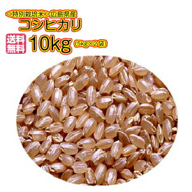 コシヒカリ 10kg 特別栽培米 5kg×2 ゴールド袋 送料無料広島県産コシヒカリ10kg 広島コシヒカリ10kg 令和5年産 1等米