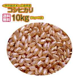 コシヒカリ 10kg 5kg×2 当社高級 四つ星 ゴールド袋 送料無料広島県産コシヒカリ 10kg 棚田の自然農法米 広島コシヒカリ 10kg 令和5年産 1等米