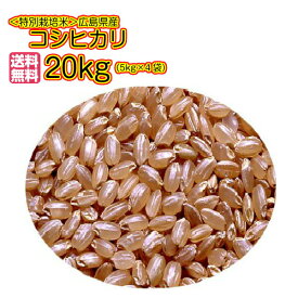 コシヒカリ 20kg 玄米 特別栽培米 5kg×4黄金キラメキ袋 送料無料 広島県産コシヒカリ 20kg 特別栽培米 広島コシヒカリ20kg 令和5年産 1等米