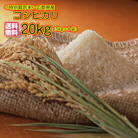 コシヒカリ 20kg 特別栽培米 5kg×4黄金キラメキ袋 送料無料 広島県産コシヒカリ 20kg 特別栽培米 広島コシヒカリ20kg 令和5年産 1等米