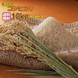 令和5年産予約 コシヒカリ 10kg 5kg×2特A米 送料無料新潟県産コシヒカリ 10kg 新潟コシヒカリ 10kg 1等米